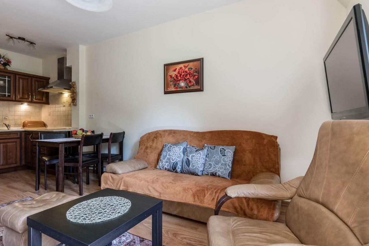 Apartamenty Przy Potoku 扎科帕内 外观 照片